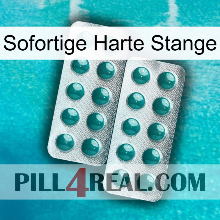Instant Hard Rod dapoxetine2